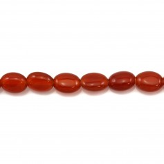 Red agate flat oval 6x8mm x 40cm