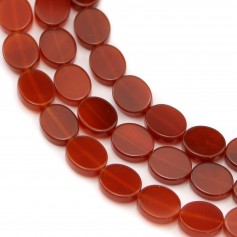 Red agate flat oval 10x12mm x 40cm