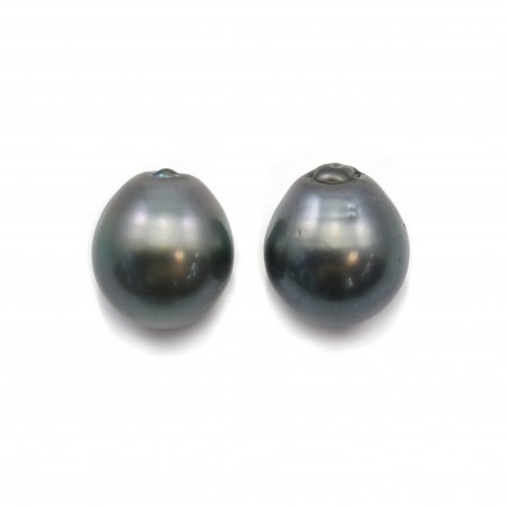 Perla cultivada de Tahití, semirredonda, 10,5-11mm x 2 piezas