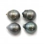 Tahitian cultured pearl oval 14-15mm x 4pcs