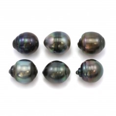 Perle de culture de Tahiti, semi-ronde, 12.5-13.5mm x 6pcs