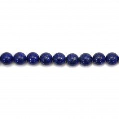 Lapis-Lazuli Rond 10mm x 2pcs