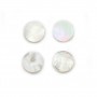 Cabochon White Mother of Pearl round flat 10mm x 1pc