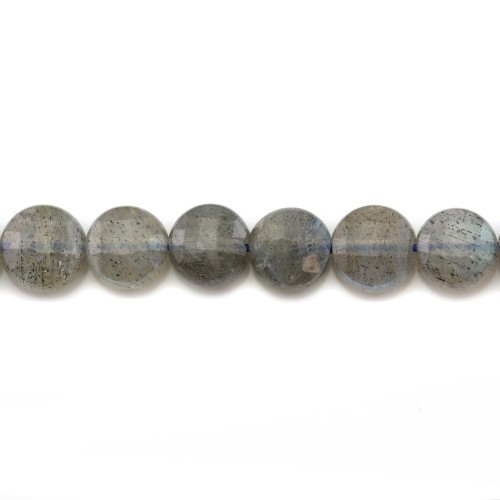 Labradorite, in the shape of round flat faceted, 6mm x 6pcs