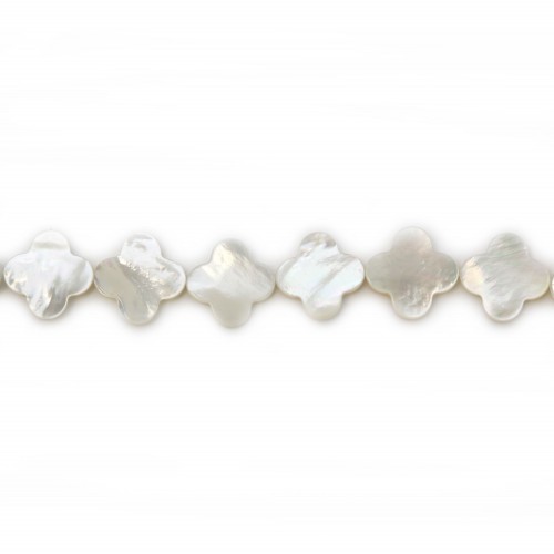 White mother-of-pearl clover beads on thread 18mm x 40cm
