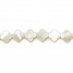 White mother of pearl clover shape 10mm x 2pcs