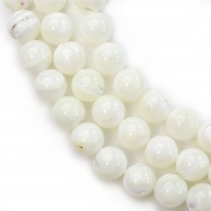 Round white mother-of-pearl 8mm x 38cm