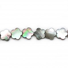 Mother of pearl Flower 15mm x 40cm