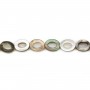Gray mother-of-pearl hollowed oval beads 6x8mm x 10 pcs
