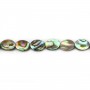 Abalone mother-of-pearl oval beads 6x8mm x 10 pcs