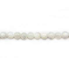 White mother of pearl beads bead strand 4mm x 40cm