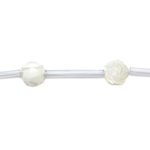 White mother-of-pearl rose beads on thread 8mm x 40cm