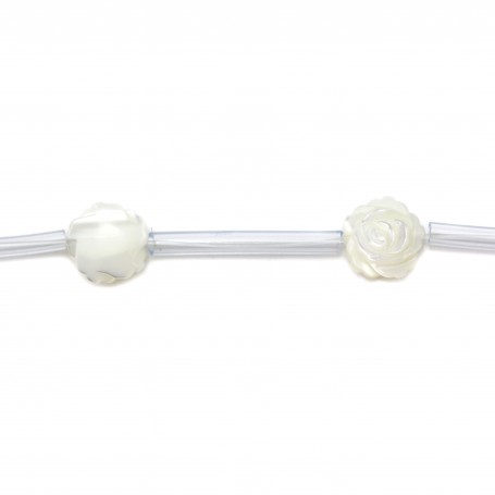 White mother-of-pearl rose beads on thread 8mm x 40cm