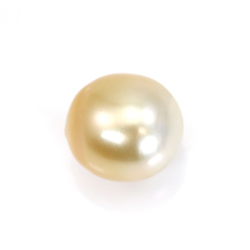 South Sea Pearl, champagne, olive/oval 12.5-13mm x 1pc