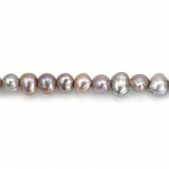 Perle coltivate d'acqua dolce, grigie, ovali/regolari, 5-6 mm x 39 cm