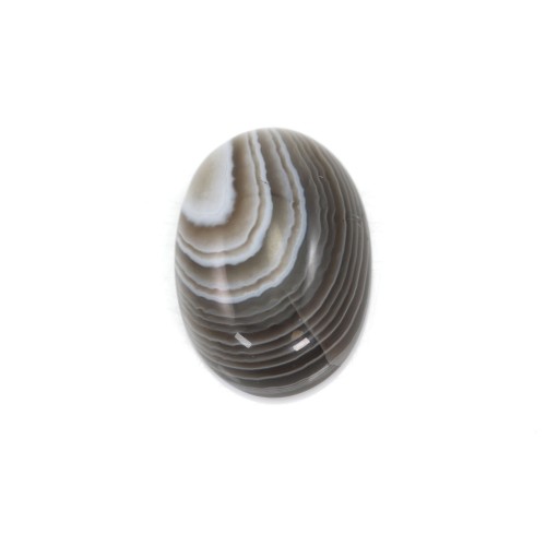 Cabochon agate du boswana, de forme ovale, 13x18mm x 2pcs