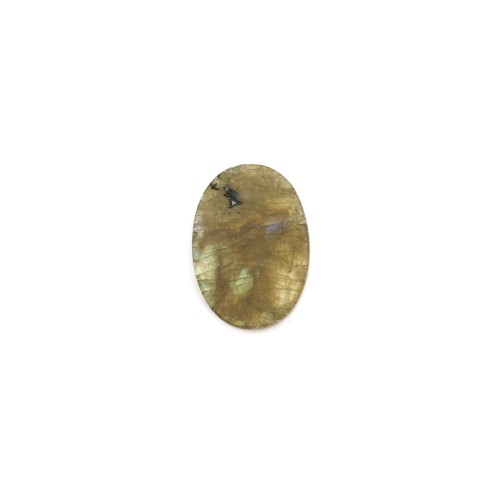 Labradorit-Kabochon, ovale und flache Form, 10x14mm x 1Stk