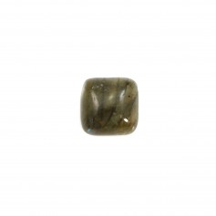 Cabochon Labradorite, square shape, 8mm x 1pc