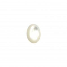 Cabochon oval 6x8 mm Mãe de Pérola Branco x 2pcs