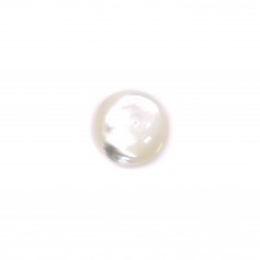 Cabochon round 12mm White Mother of Pearl x 1pc