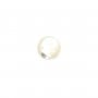 Cabochon redondo 8 mm Mãe de Pérola Branco x 2pcs