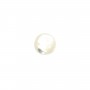 Round cabochon 8mm White Mother-of-Pearl x 2pcs