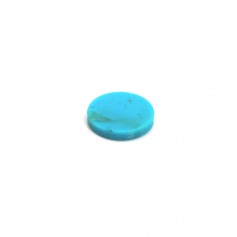 Cabochon Turquoise, forme ronde et plate 8mm x 1pc