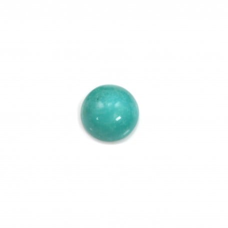 Cabochon turquoise rond 6mm x1pc