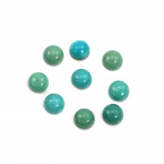 Cabochon turquoise rond 6mm x1pc