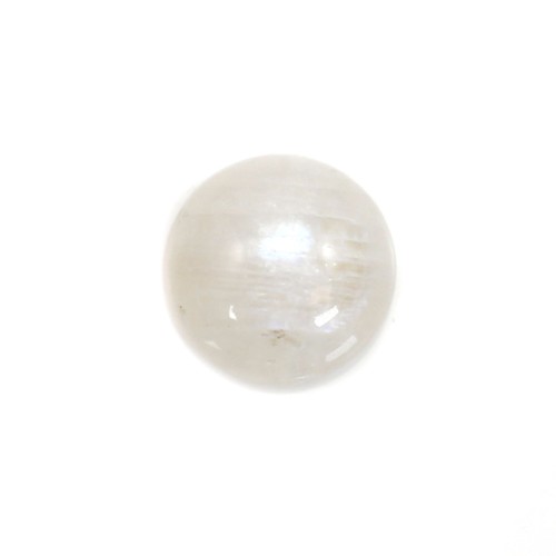 Cabujón redondo de piedra de luna blanca 8mm x 1pc