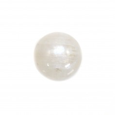 Cabochon pierre de lune blanche rond 8mm x 1pc