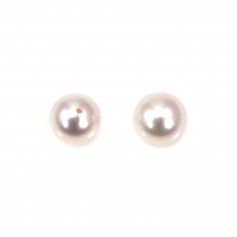 Semi-drilled round japanese AKOYA cultured pearl 7-7.5mm x 1pc