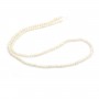 White round freshwater pearls on thread 3mm x 40cm