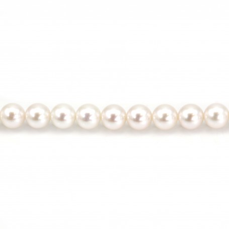 White japonais AKOYA pearl culture round 7-8mm x 40cm