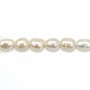 Light grey oval freshwater pearls on thread 4-5mm x 40cm