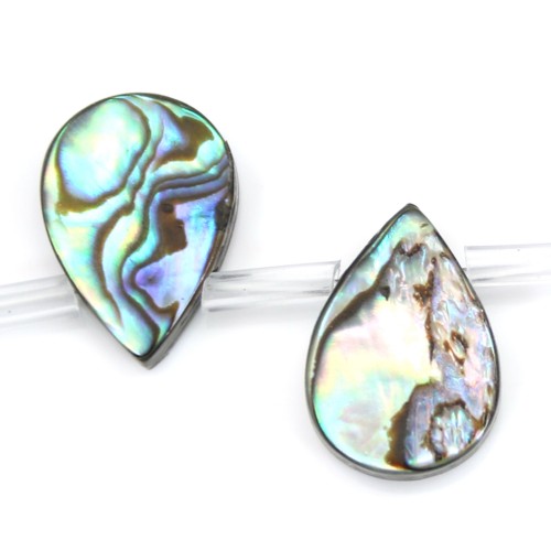 Abalone mother-of-pearl in flat drop bead strand 10x14mm x 40cm (28pcs)
