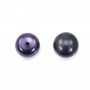 Perle de culture d'eau douce, semi-percée, gris foncée, bouton, 13.5-14mm x 4pcs