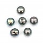 Perles de culture d'eau douce, semi-percée, bleue foncée, bouton, 4.5-5mm x40pcs