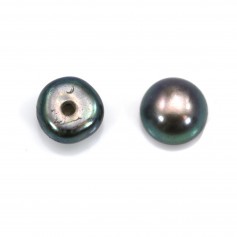 Perles de culture d'eau douce, semi-percée, gris, bouton, 5-5.5mm x 30pcs