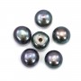Perles de culture d'eau douce, semi-percée, gris foncé, bouton, 5-5.5mm x 30pcs