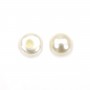 Perlas cultivadas de agua dulce, semiperforadas, blancas, botón, 2.5-3mm x 6pcs