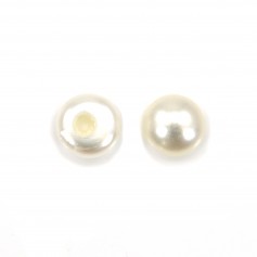 Freshwater white cultured pearls in round flat shape, half drilled, in size of 2.5-3mm x 6pcs