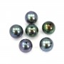 Half-drilled round dark blue freshwater pearl 4-5mm x 1pc