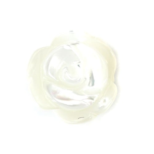 White mother-of-pearl half drilled Rose 8mm x 2pcs