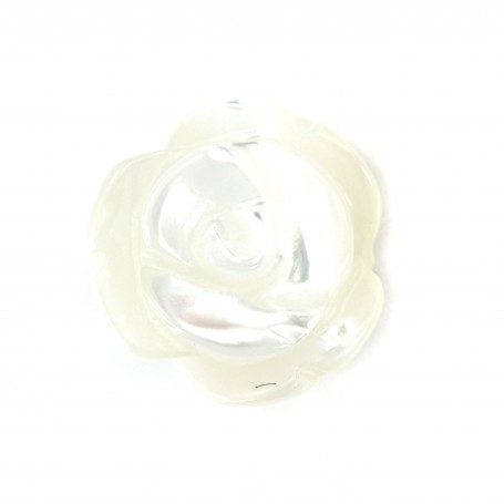 Nacre blanche en rose semi-percée 8mm x 2pcs