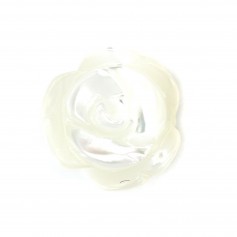 Nacre blanche en rose semi-percée 8mm x 2pcs