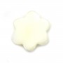 White mother-of-pearl 6-petal flower beads 12mm x 4pcs