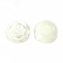 White mother-of-pearl rose bead 12mm x 2pcs