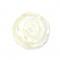 Nacre blanche en rose semi-percée 15mm x 1pc