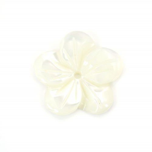 Nacre blanche en forme de fleur à 5 pétales 15mm x 1pc